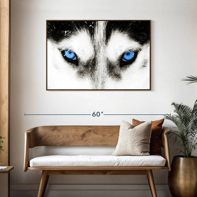 Husky's Eyes, Cadre flottant noyer, 43 po x 29 po