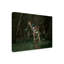Girafe sur toile