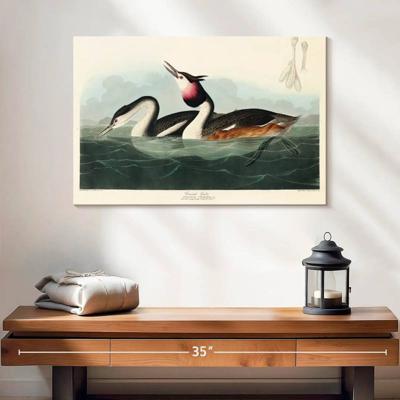 Brampt Crested Grebe, 16" H x 24" W