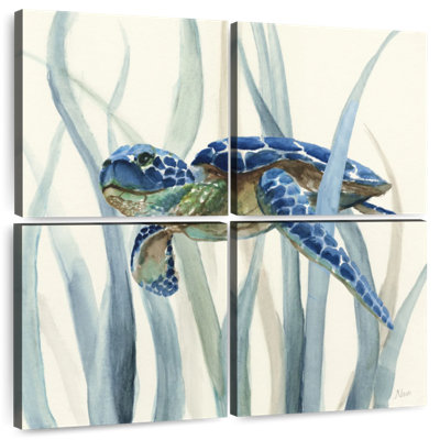 Tortue Brampt en ruppie maritime II