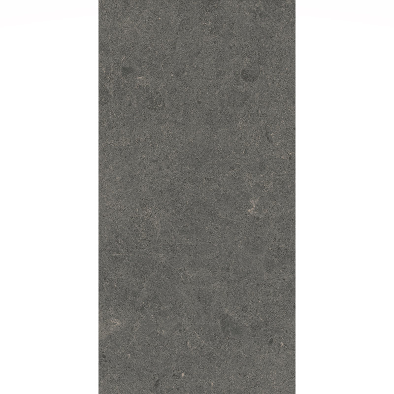 Artistic Freedom 12"X24" Porcelain Stone Look, Graphite