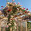 Système de jardinage en bois de cèdre tout-en-un - Serre + pergola + ensemble d'outils pour une culture à l'année