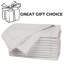 Apricot Gelato Cotton Cloth Dinner Napkins 