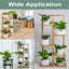 Deva Plant Stand - Set of 6