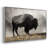 " Geyser Basin " Print-1670065340-1670065343