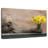 Elephant And Yellow Daffodil-107497800