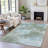 Machine Washable Indoor/Outdoor Xhevrie Sage Rug-111925009