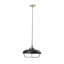 Luminaire suspendu en forme de dôme à 1 lumière Apsel-1377230438-1377230439