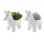 Plante grasse artificielle en pot 2 po-256607342