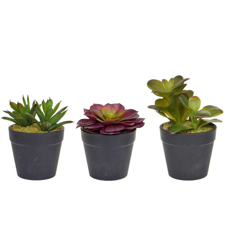 12cm Faux Succulent in Pot