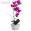 Orchidée artificielle dans un vase-64581338
