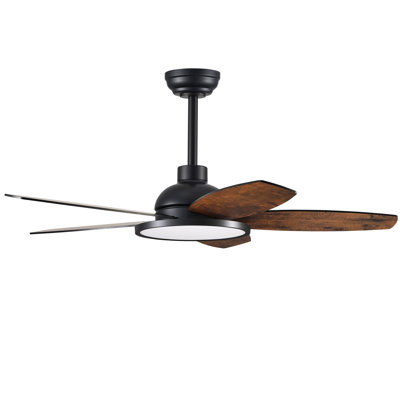Low Profile 5 - Blade Flush Mount Small Room Ceiling Fan with LED Light and Remote