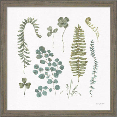 " Fern Study 02 " by Lisa Audit