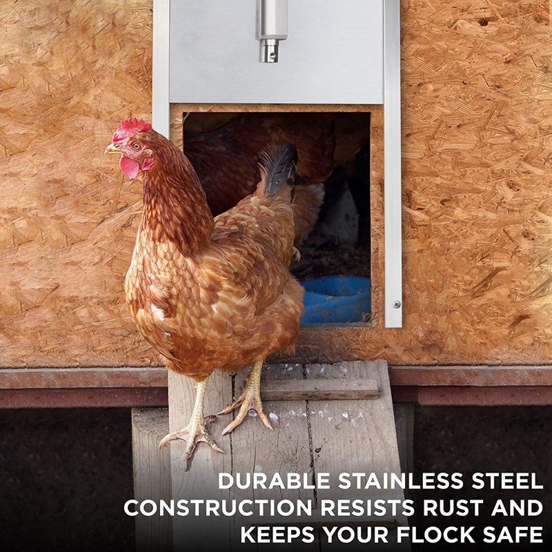 Teme Automatic Chicken Coop Door