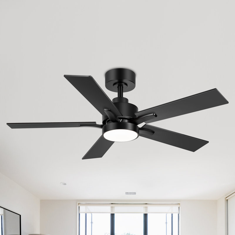 Jeason 42" 5-Blade LED Standard Ceiling Fan with Remote Control and Light Kit Included, Black, Brown