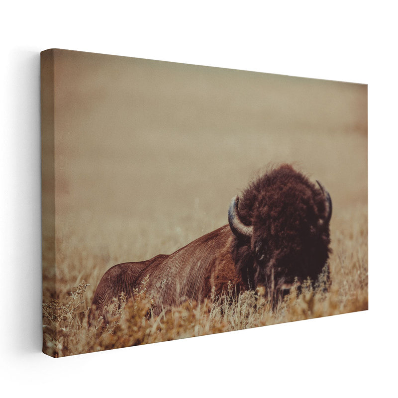 «Tall Grass Bison II», reproduction d'art sur toile, H 32 po x l 48 po