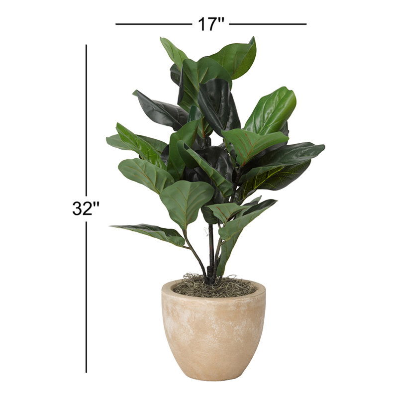 Plante à fleurs en feuille de charme