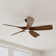 60'' Ceiling Fan with LED Lights