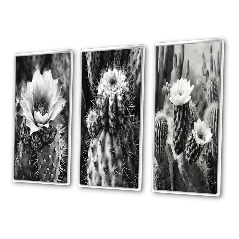«Gray Desert Cactus», 3 pièces sur toile, Cadre flottant blanc, H 40 po x l 60 po