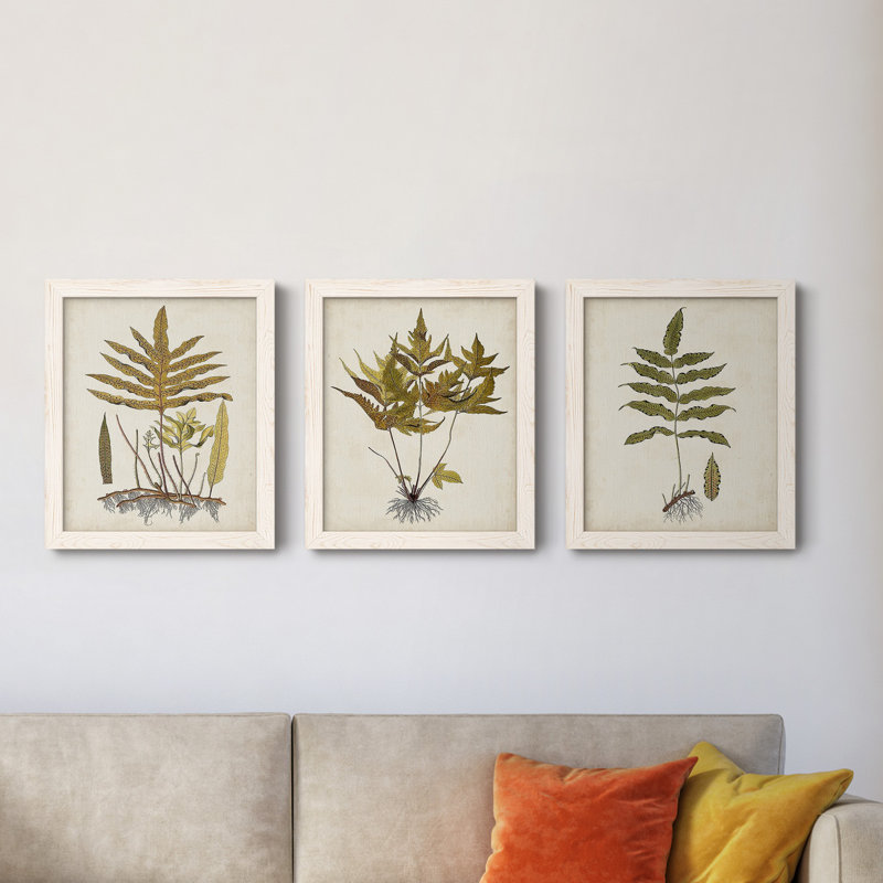 Fern Botanical I - Ensemble de 3 peintures sur toiles encadrées, H 24 po x l 36 po x P 1,5 po, Blanc