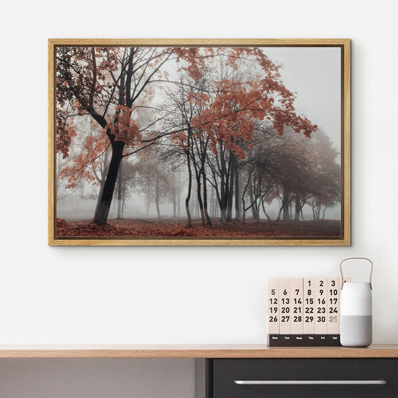 Automne, forêt d'automne, feuilles qui tombent dans le brouillard, matin, Cadre flottant naturel