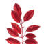 Guirlande 6 'Gardenia-309470840