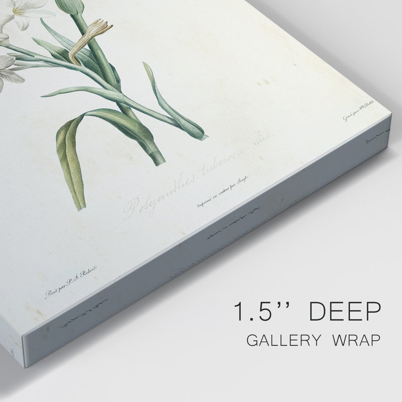 «Traditional Botanical IV», impression sur toile tendue, H 36 po x l 24 po x P 1 po