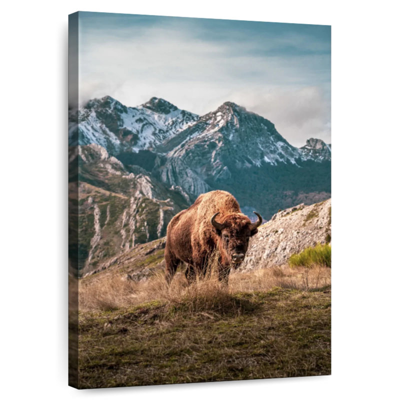 Brampt Simple Mountain Bison, 51" H x 34" W