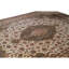 Oriental Area Rug