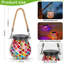 Lizette Solar Powered Outdoor Lantern
