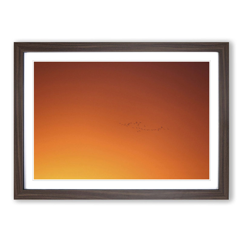 Birds in Flight During an Orange Sunrise - Picture Frame Photograph Print, 27cm H x 36cm W x 2cm D, Walnut Framed