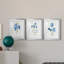 «Blue Blossom Botanical I», ensemble de 3 reproductions de cadres photo-566303040-566303042
