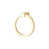 Polished Brass