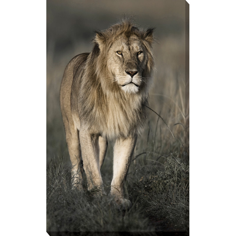 " Morning Walk In Masai Mara ", 30" H x 18" W