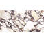Carreau de porcelaine d'aspect marbre 12 po x 24 po Cala Rosso