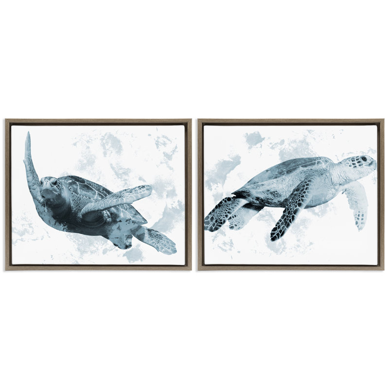 Ensemble de cadres flottants 2 pièces Blue Watered Turtle Portraits, design par Marcus Prime, Cadre flottant orme Montalcino