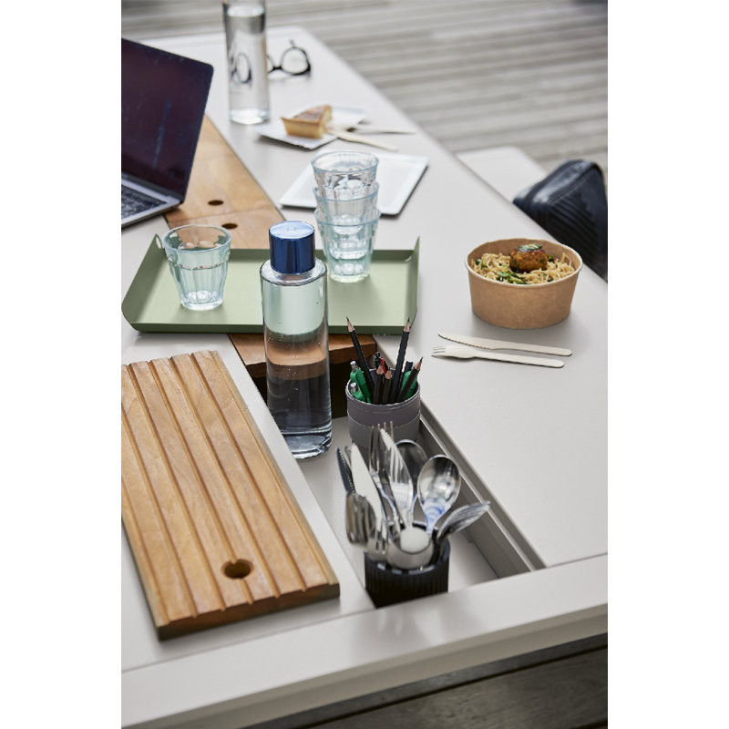 Alto Steel Decorative Tray, Cactus