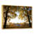 Gold Floater Framed Canvas