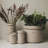 Neck Vase-127664448
