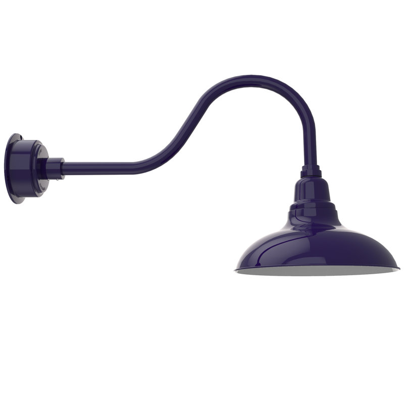 Luminaire de grange d’extérieur à del Idella, Bleu de cobalt, H 17 po x l 12 po x P 38 po