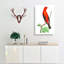 Brazilian Tanager Bird by George Shaw - Wrapped Canvas-55304267
