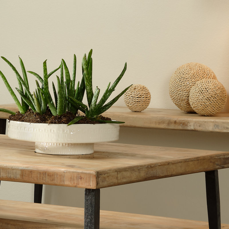 Coco Handmade Geometric Ceramic Decorative Bowl - White