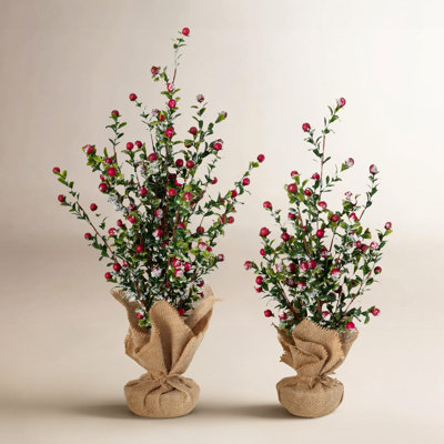 20" & 16" Artificial Christmas Boxwood Berry Tree Set of 2, Green-Red