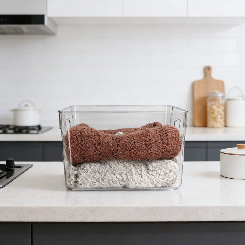 Ensemble de 2 bacs de rangement en plastique transparent