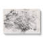Dandelion Seed - Wrapped Canvas Print-56656740