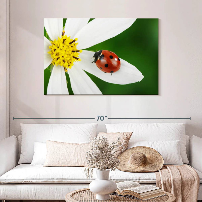 Brampt Ladybug On White Flower, 30" H x 45" W