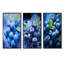 Cianciolo - Ensemble de 3 impressions sur toile de fruits-103010117-103010114
