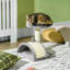 Kenia 46cm H Cat Tree