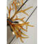 Bois de lucite-1284060195-1284060205-1284060242