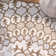 Tapis floral en laine touffeté à la main Miu